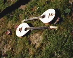 Photo Bouzoukis Irlandais