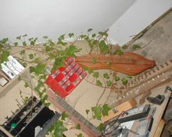 Photo Dulcimer